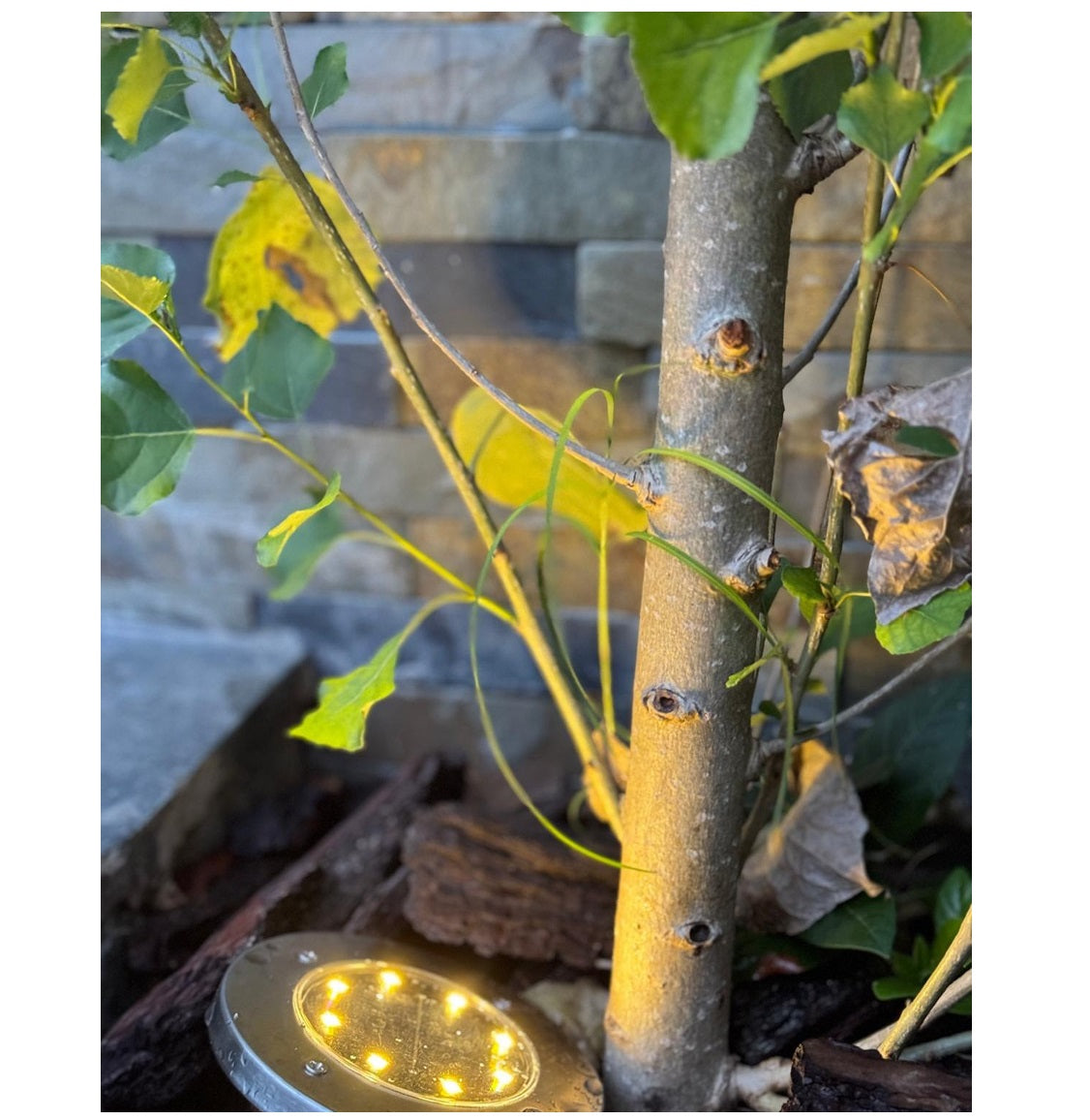 Luminaria Solar Piso Omio Led Cálidos Para Jardín Pack De 4