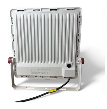 Foco Reflector Led 100w Ip67 Frío/cálido/neutro Louis Walden