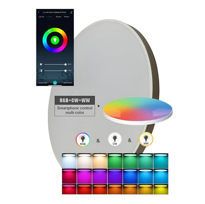 Plafón Techo Led Rgb 21w Wifi Frío/cálido Dimerizable Omio