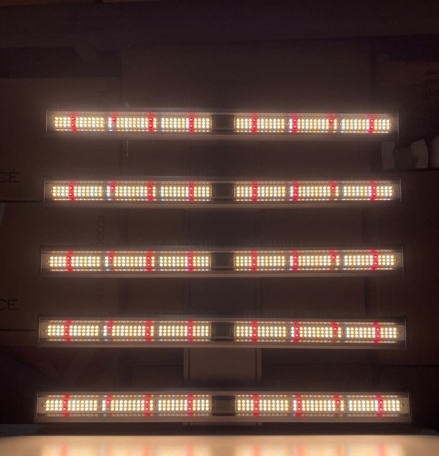 Luz Led De Cultivo Interior Powerlight Storm 320w Grow