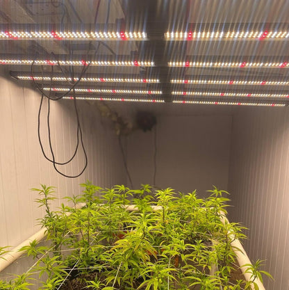 Luz Led De Cultivo Interior Powerlight Storm 320w Grow