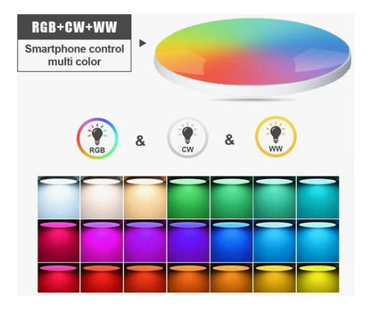 Plafón Techo Led Rgb 21w Wifi Frío/cálido Dimerizable Omio